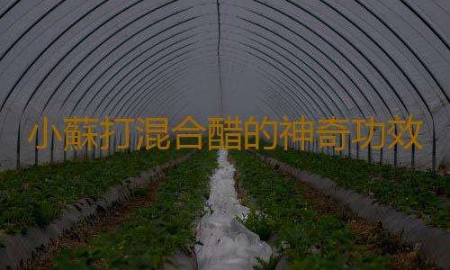 小蘇打混合醋的神奇功效 巧用小蘇打讓你的家更潔淨